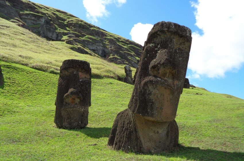  Une étude remet en question l’idée populaire selon laquelle les habitants de l’île de Pâques auraient commis un « écocide »