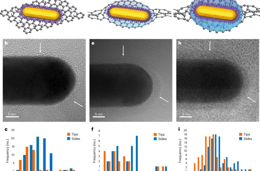  Une nouvelle méthode visualise les ligands sur les nanoparticules d’or dans un liquide