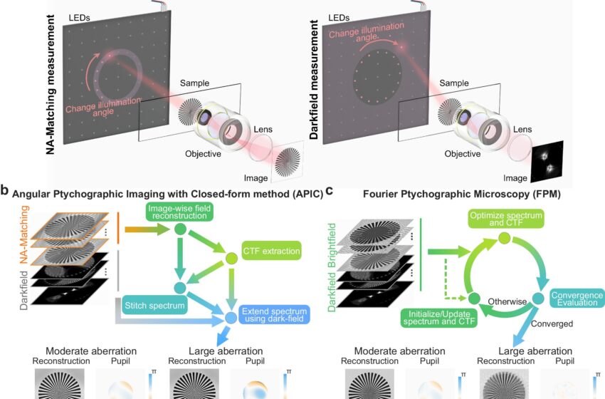  Une nouvelle technique de microscopie informatique offre une voie plus directe vers des images nettes