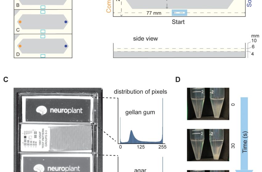  Une plateforme de laboratoire DIY évalue de nouvelles molécules en quelques minutes