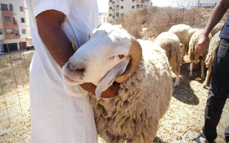  une tradition en déclin chez les Marocains