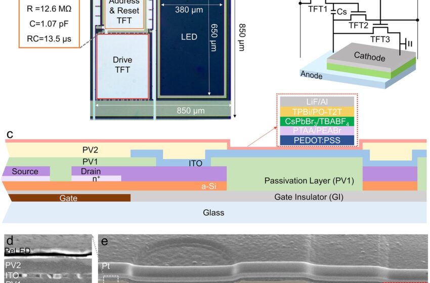  Des chercheurs démontrent un affichage numérique de deuxième génération avec des diodes électroluminescentes à base de pérovskite