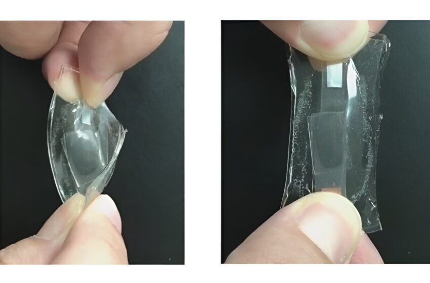  Des chercheurs en électronique flexible développent une batterie lithium-ion entièrement extensible