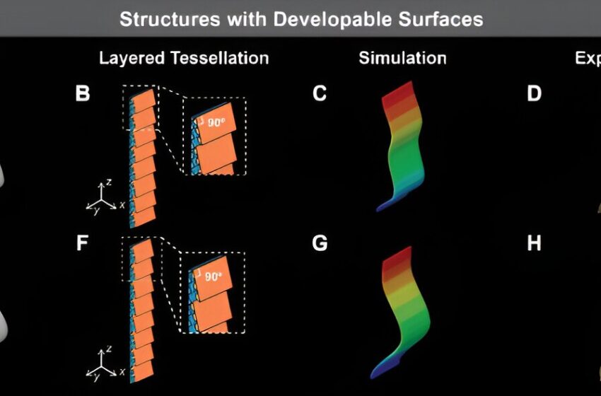  Des scientifiques développent un tissu actif imprimé en 3D pour les dispositifs médicaux et la robotique souple