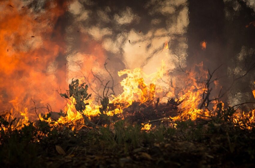  Des scientifiques utilisent l’IA pour prédire la prochaine évolution d’un feu de forêt