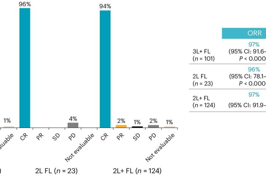  Exploration de la thérapie par cellules CAR-T pour le lymphome folliculaire agressif