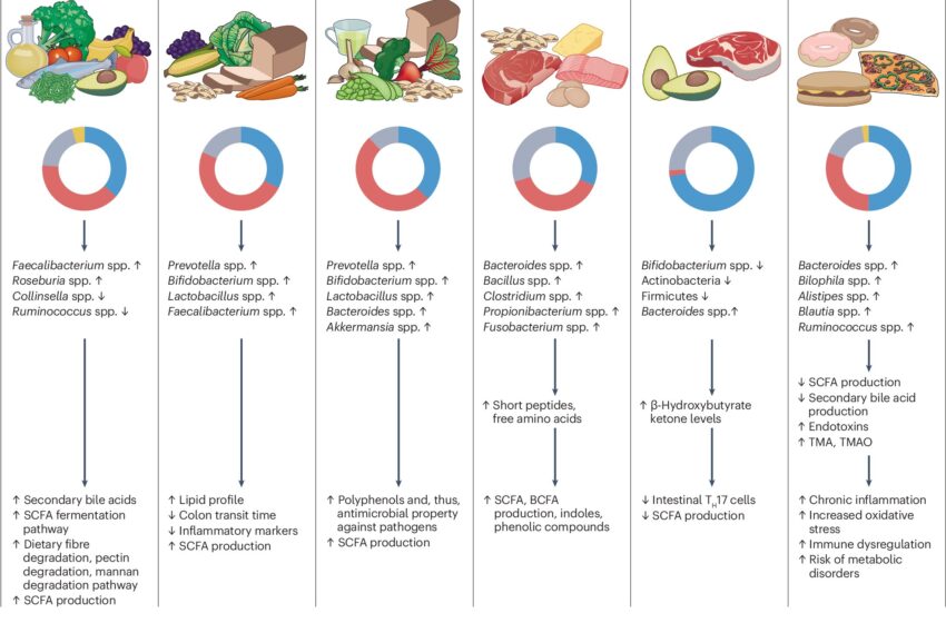  Les régimes alimentaires occidentaux présentent un risque plus élevé de cancer et de maladies inflammatoires de l’intestin, selon une étude