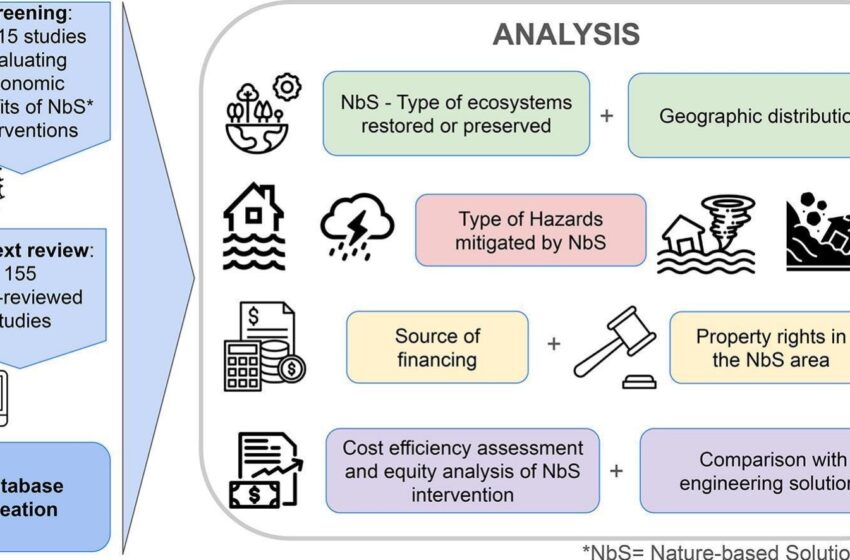  Les solutions fondées sur la nature pour faire face aux risques de catastrophe liés au changement climatique sont rentables, confirme une étude