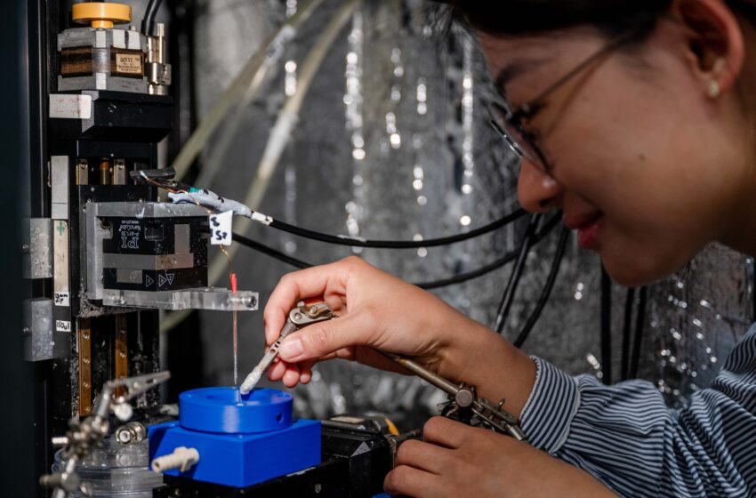  Maximiser la formation de peroxyde d’hydrogène lors de l’électrolyse de l’eau