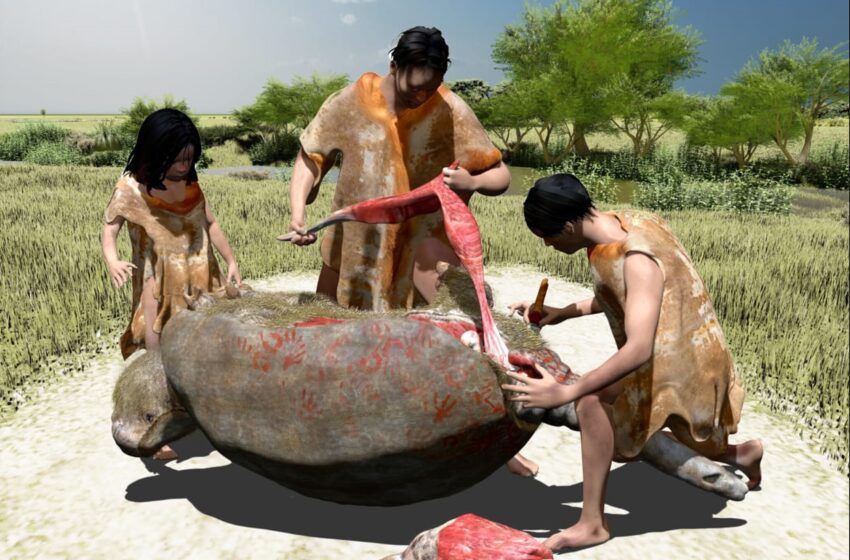  Preuves de l’abattage de mammifères géants ressemblant à des tatous en Argentine il y a 21 000 ans