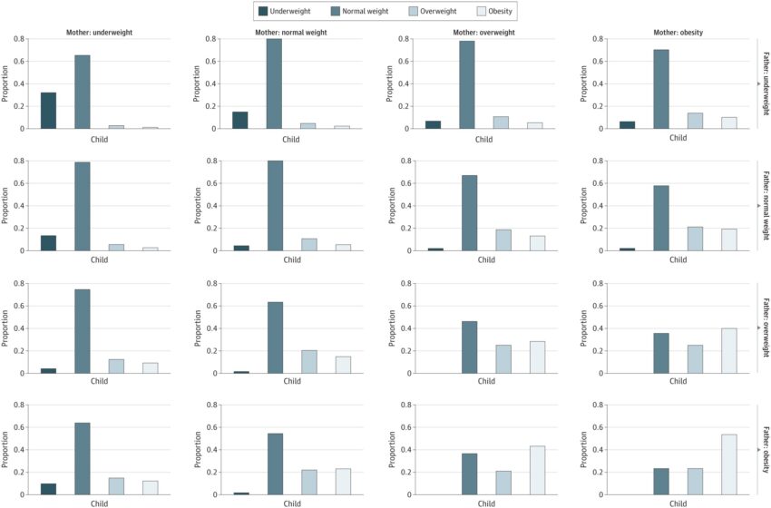  Selon une étude, les descendants de personnes obèses à l’adolescence sont susceptibles de le devenir également.