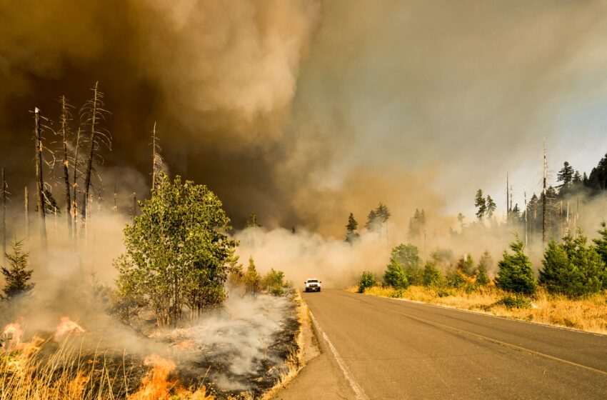  Travailler au renforcement des défenses du Nord-Ouest Pacifique contre les incendies de forêt et la fumée des incendies de forêt