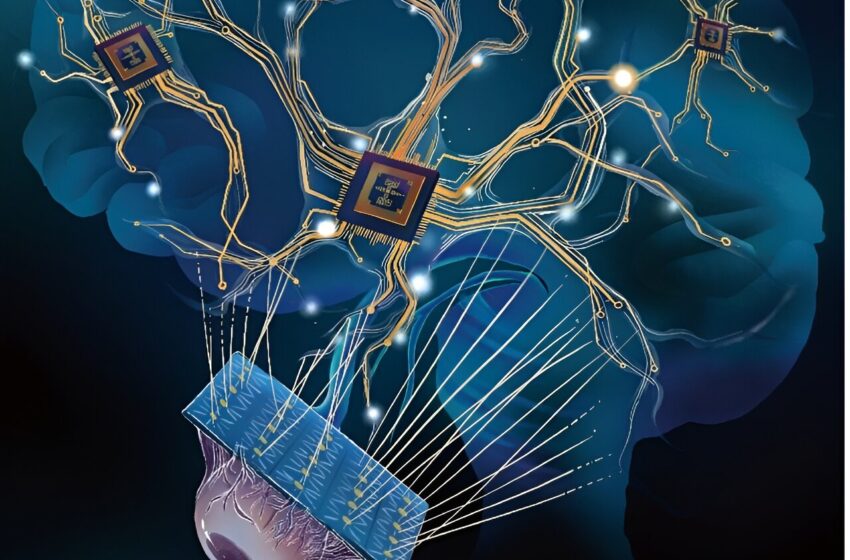  Un nouveau circuit neuronal dendritique artificiel inspiré du cerveau