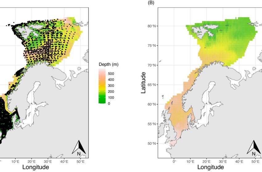  Une étude prévoit des changements majeurs dans les écosystèmes marins de l’Atlantique Nord et de l’Arctique en raison du changement climatique