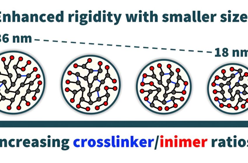  Une nouvelle classe de nanoparticules organiques prometteuse pour diverses applications