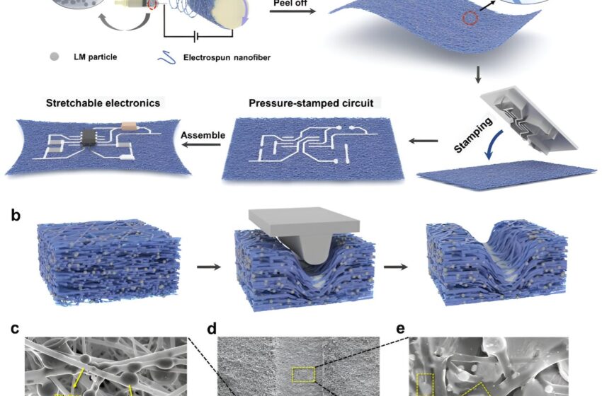  Une nouvelle méthode pour fabriquer des appareils électroniques extensibles et respirants