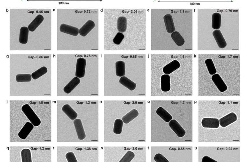  Une nouvelle technique pour diagnostiquer les métastases cancéreuses utilise des nanosondes en origami