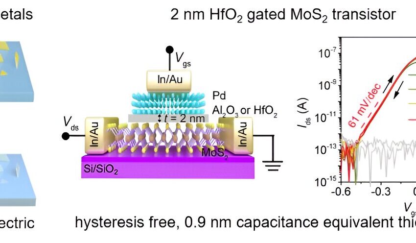  Une stratégie pour synthétiser des nanofeuilles métalliques en forme d’ailettes pour les transistors 2D