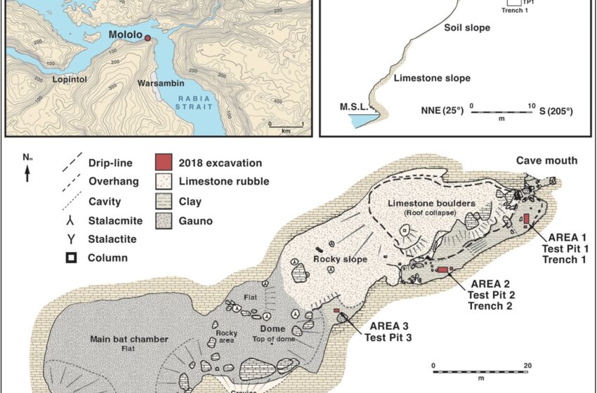  De nouvelles preuves en provenance de Papouasie occidentale offrent de nouveaux indices sur la manière et le moment où les humains ont commencé à s’installer dans le Pacifique