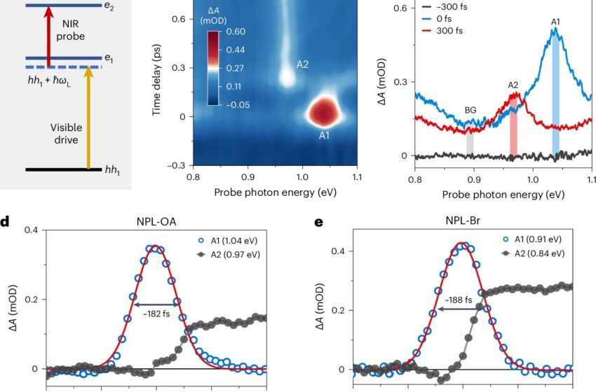  Des chercheurs observent des états de Floquet dans des nanoplaquettes colloïdales entraînées par des impulsions visibles