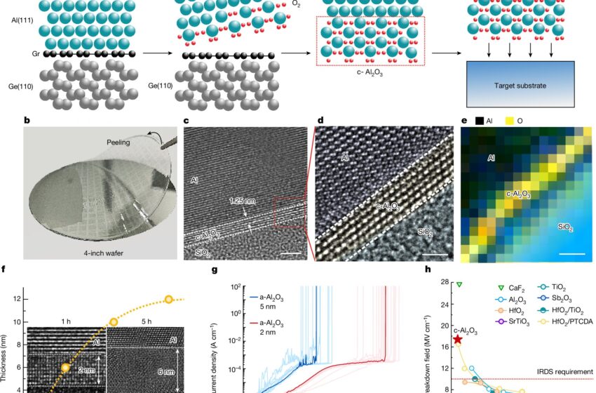  Des ingénieurs développent un nouveau transistor à effet de champ bidimensionnel à faible consommation d’énergie