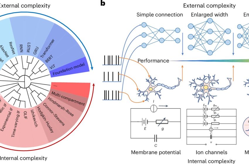  Des scientifiques établissent un modèle de réseau inspiré du cerveau pour relier l’IA et les neurosciences