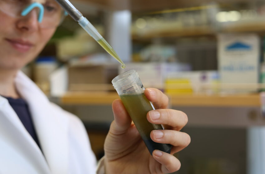  Des scientifiques utilisent des isotopes de carbone pour traquer les « produits chimiques éternels »