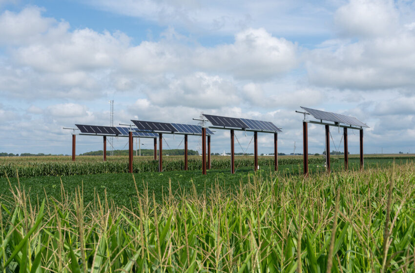  Des simulations validées optimisent la production d’énergie solaire grâce à l’agriculture en rangées