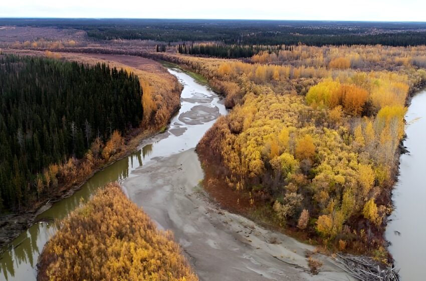  La « bombe au mercure » menace des millions de personnes alors que les températures de l’Arctique augmentent, prévient une étude