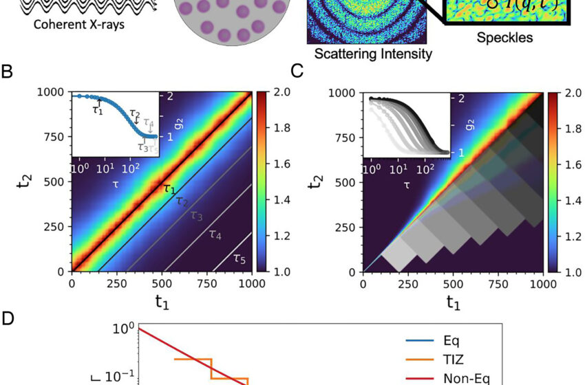  La capacité de suivre l’écoulement à l’échelle nanométrique dans la matière molle pourrait s’avérer une découverte cruciale