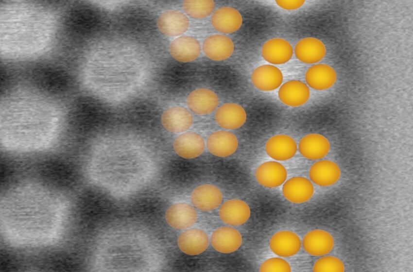  La couche 2D de pentamères de phosphore présente des propriétés semi-conductrices sur la surface de l’argent