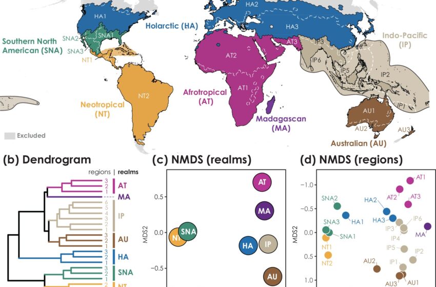  La première carte biogéographique des fourmis révèle neuf domaines mondiaux