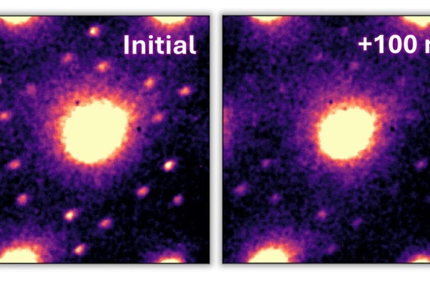  La technique de microscopie électronique ultrarapide fait progresser la compréhension des processus applicables à l’informatique de type cérébral