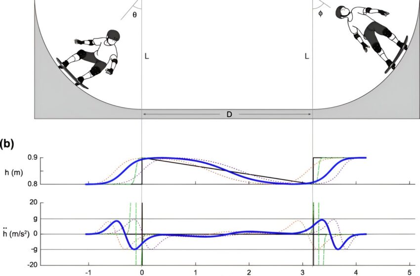  Les chercheurs modélisent la physique de la technique de pompage utilisée pour faire de l’air sur un half-pipe de skateboard