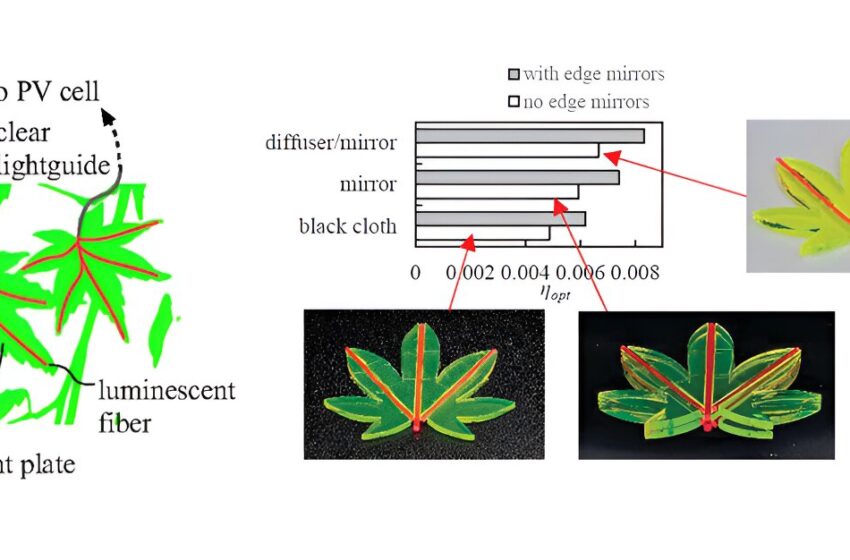  Les concentrateurs solaires en forme de feuille promettent une amélioration majeure de l’efficacité solaire