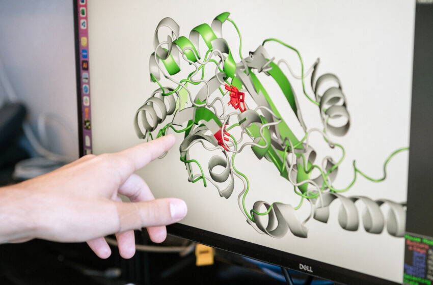  Les formes 3D des protéines virales révèlent des rôles jusque-là inconnus