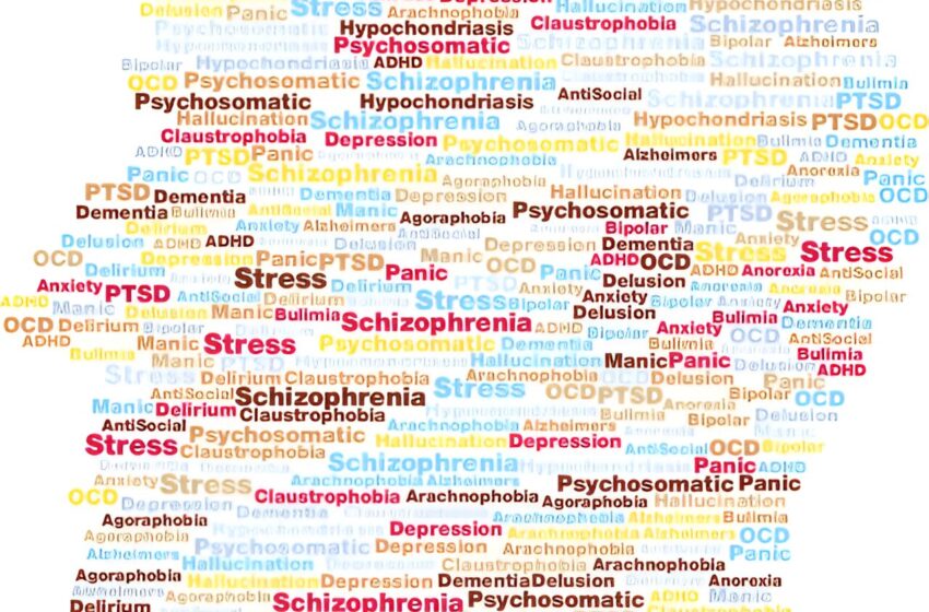  Les personnes atteintes de troubles mentaux légers peuvent être perçues différemment en fonction de la présence d’étiquettes diagnostiques