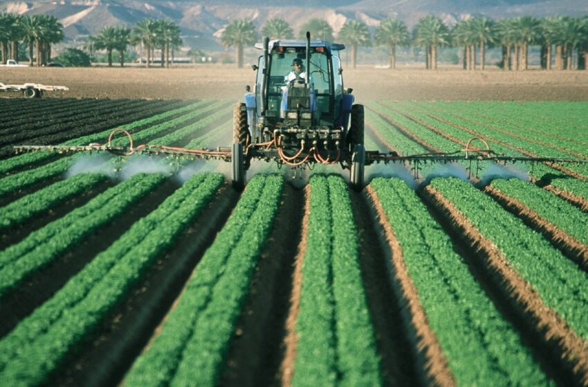  L’exposition aux pesticides associée au risque de mortinatalité selon une nouvelle étude