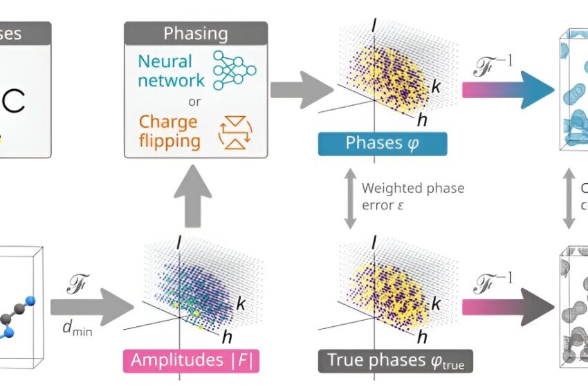  PhAI : un système d’IA qui détermine la phase des rayons X diffractés par les cristaux