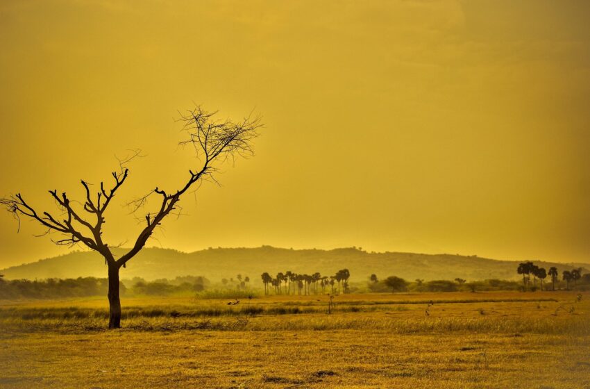  Pourquoi nous ne pouvons pas prédire le moment où les changements climatiques se produiront