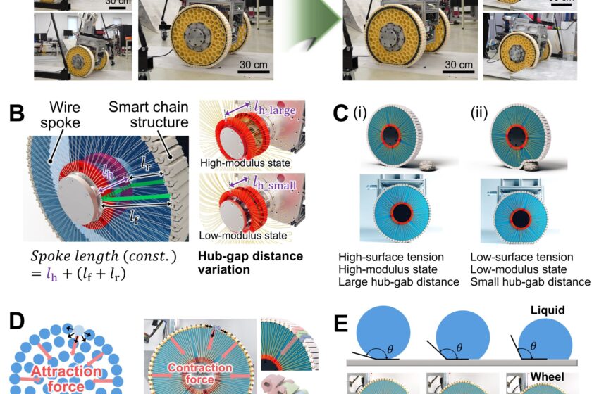 Regardez comment cette roue à changement de forme s’attaque aux surfaces inégales