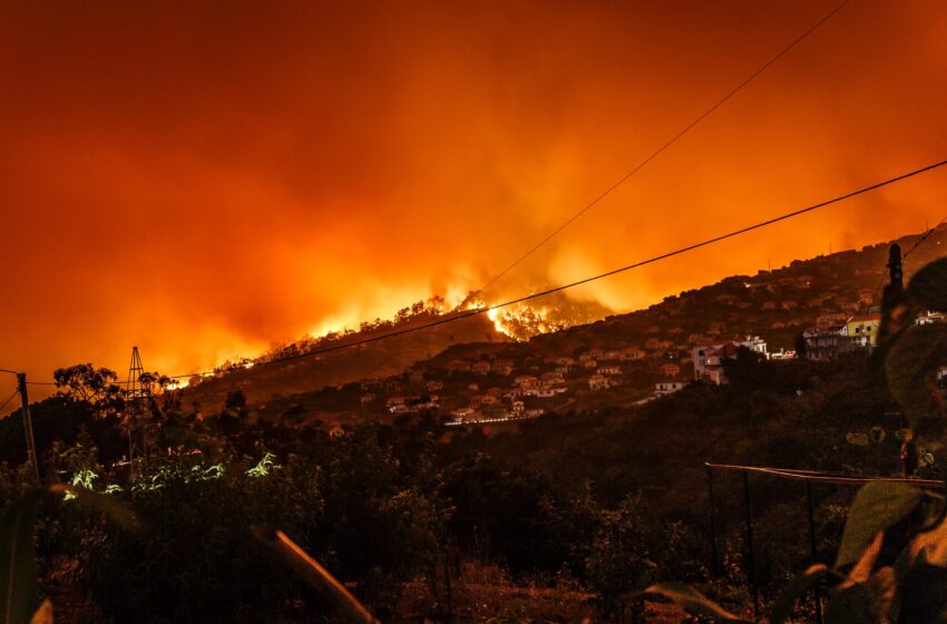  Selon les scientifiques, le changement climatique augmente les risques d’incendies de forêt sans précédent en 2023-24