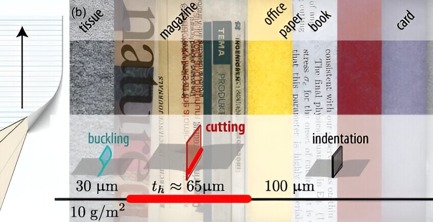  Types de papier classés par risque de coupures