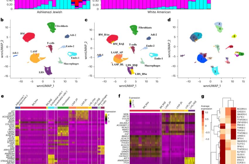  Un atlas complet des cellules mammaires normales offre un nouvel outil pour comprendre l’origine du cancer du sein