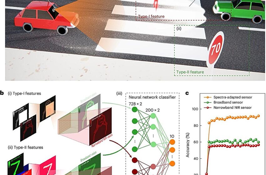  Un capteur de vision bio-inspiré capable de détecter des caractéristiques spectrales distinctives