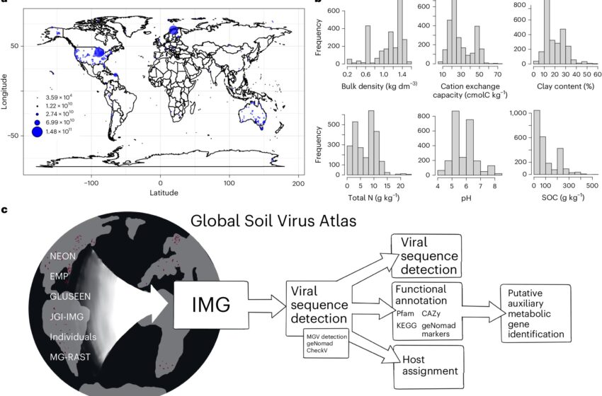  Un ensemble de données complet et inédit sur les virus du sol représente une diversité virale et un potentiel biogéochimique inexploités