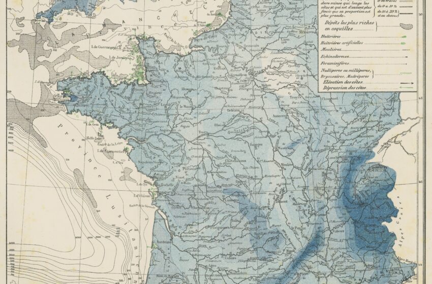  Une carte historique révèle comment la ferme de moules ramène les récifs de coquillages au fond de la mer