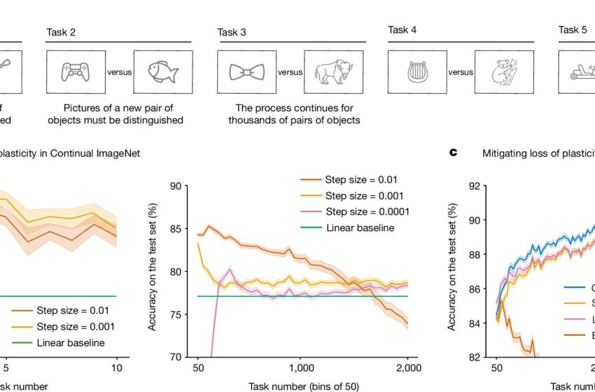  Une nouvelle méthode permet à l’IA d’apprendre indéfiniment