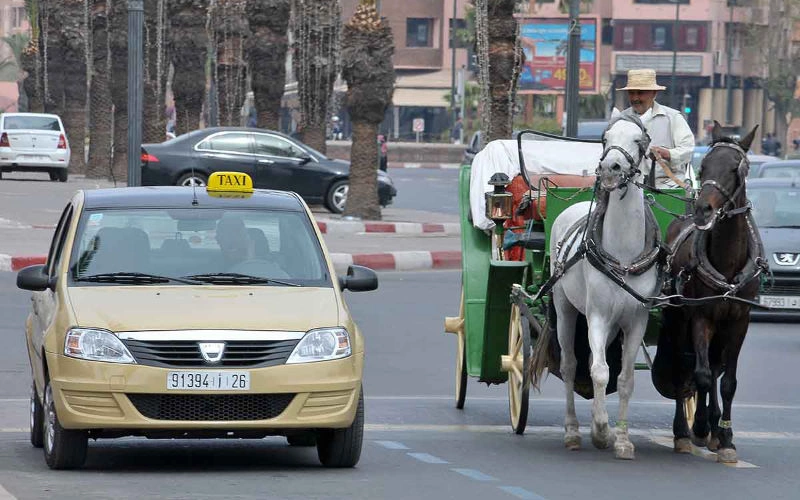  Enquête à Marrakech après la plainte d’un touriste contre un chauffeur de taxi