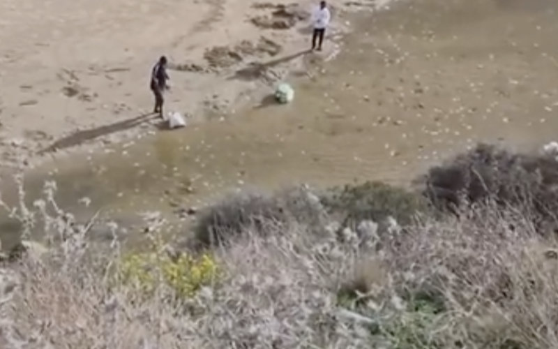  Mystérieux massacre de poissons près de Tanger